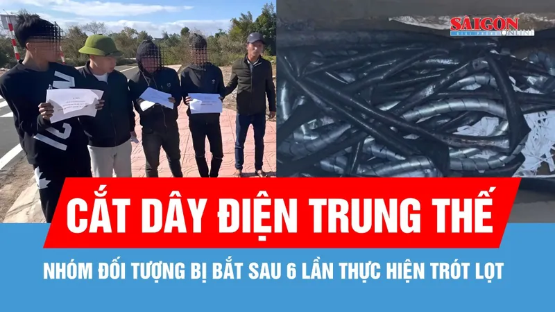 Bắt nhóm đối tượng 6 lần cắt trộm dây cáp ngầm điện trung thế