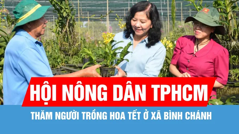 Lãnh đạo Hội Nông dân TPHCM thăm, động viên người trồng hoa tết xã Bình Chánh