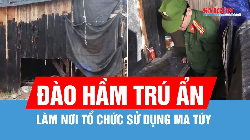 Chiếm 1.000m² đất để xây nhà chòi, đào hầm làm nơi sử dụng ma túy