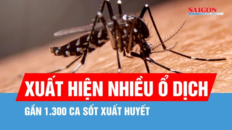 TPHCM ghi nhận gần 1.300 ca sốt xuất huyết trong vòng một tuần