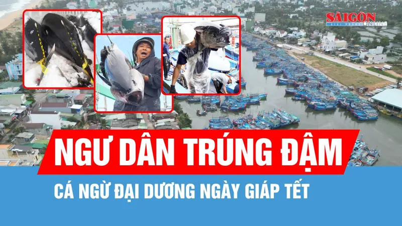 Ngư dân trúng cá ngừ đại dương những ngày giáp tết