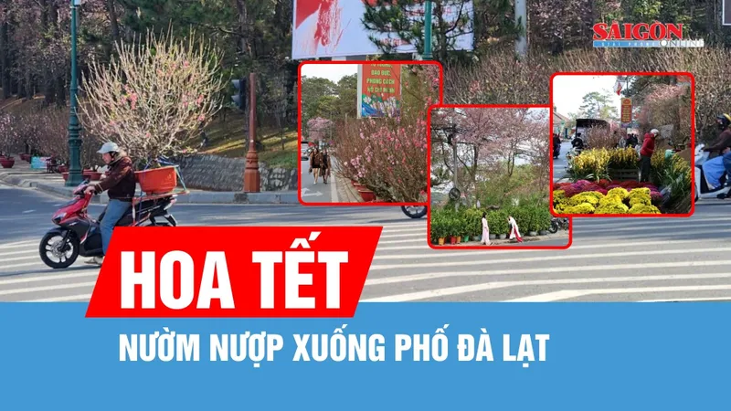 Hoa tết nườm nượp xuống phố Đà Lạt