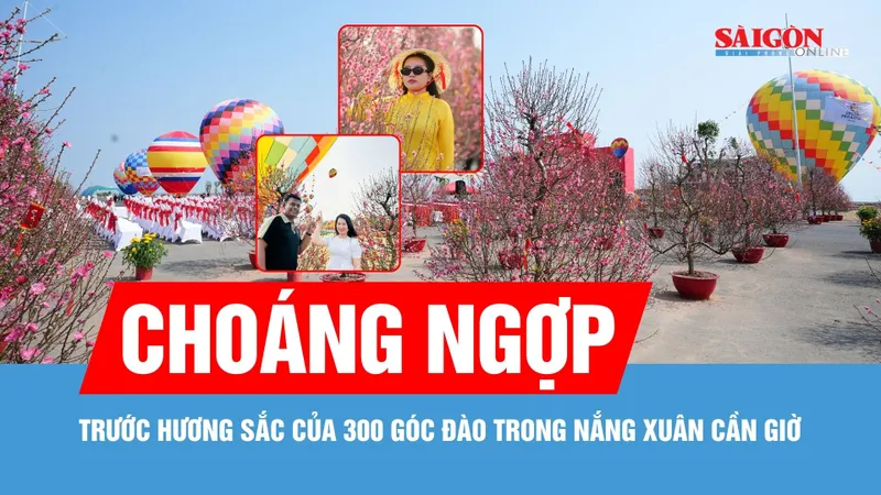 Người dân TPHCM hào hứng “check-in” với 300 gốc đào Bắc trong nắng xuân Cần Giờ