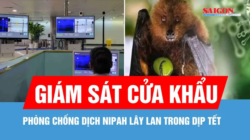 TPHCM: Giám sát cửa khẩu để phòng chống dịch Nipah