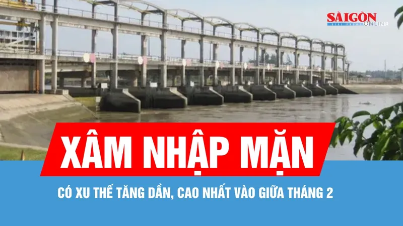 Vĩnh Long: Dự báo xâm nhập mặn tăng cao vào giữa tháng 2
