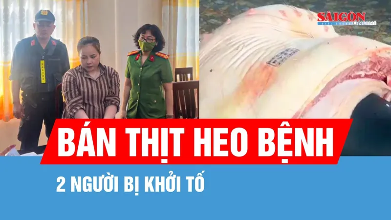 Bắt tạm giam 2 tiểu thương bán thịt heo nhiễm bệnh ra thị trường