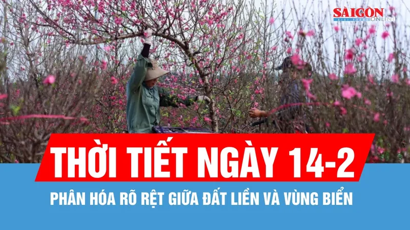Thời tiết ngày 14-2: Bắc Bộ có mưa phùn và sương mù, trưa chiều hửng nắng