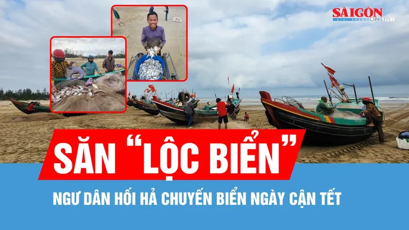 Ngư dân hối hả chuyến biển ngày cận tết