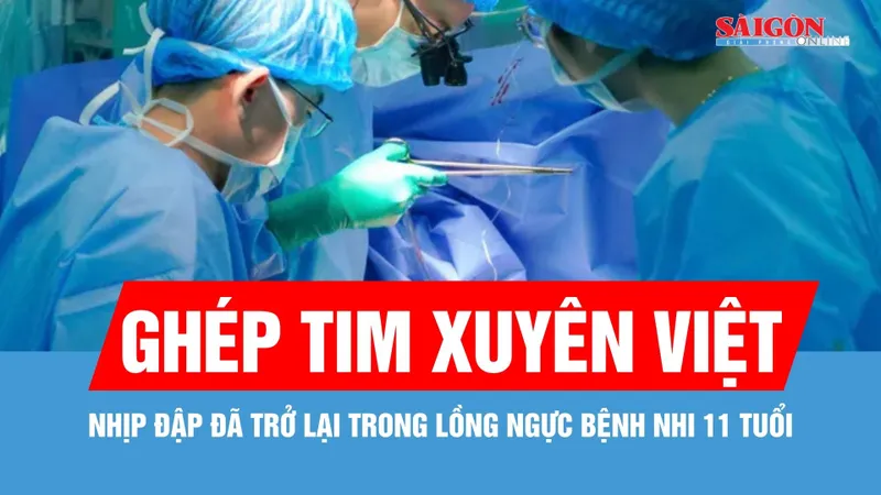 Xuyên đêm vận chuyển trái tim từ Hà Nội về TPHCM cứu người