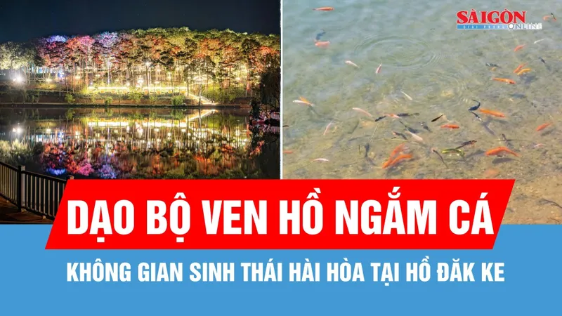 Quảng Ngãi: Thả 5.000 con cá xuống hồ Đăk Ke