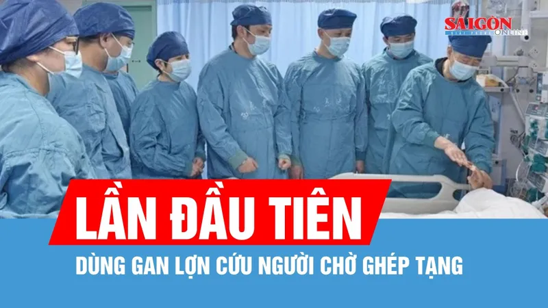 Lần đầu gan lợn cứu sống người đàn ông chờ ghép tạng