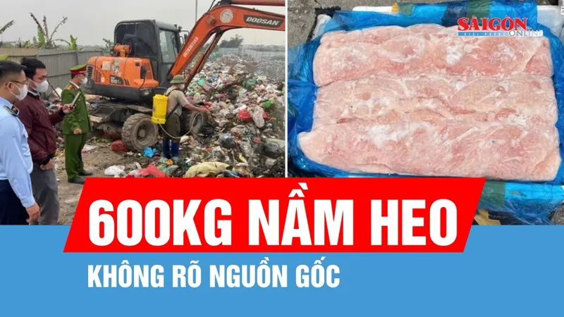 Thu giữ 600kg nầm heo đông lạnh không rõ nguồn gốc