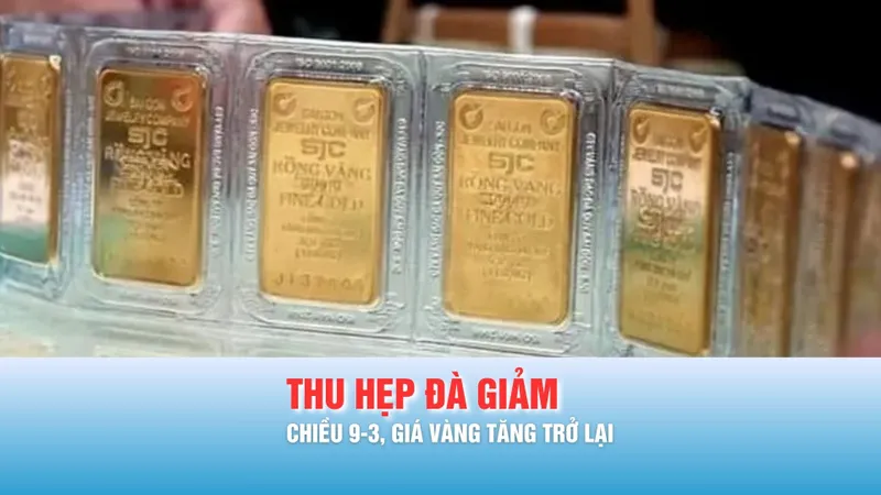Podcast bản tin tối 9-3: Chiều 9-3, giá vàng tăng trở lại
