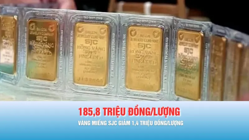 Podcast bản tin trưa 12-3: Giá vàng trong nước cao hơn giá thế giới hơn 22 triệu đồng/lượng