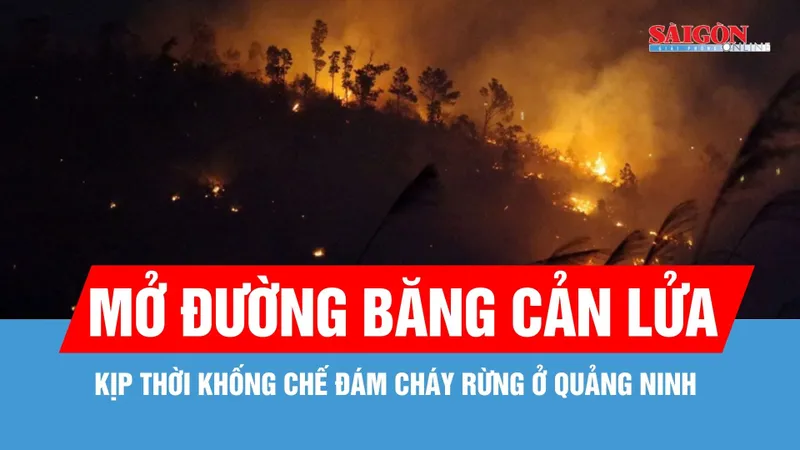 Gần 200 cán bộ, chiến sĩ khống chế đám cháy rừng ở Quảng Ninh