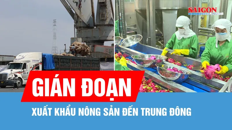 Gián đoạn xuất khẩu nông sản đến Trung Đông