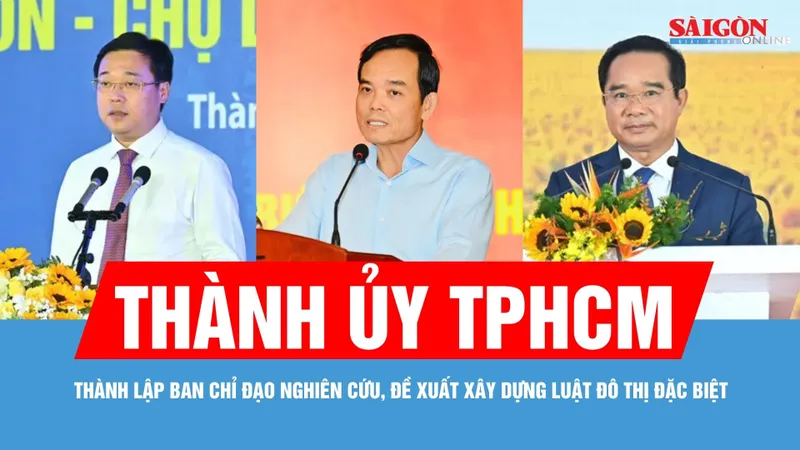 Thành ủy TPHCM thành lập Ban Chỉ đạo nghiên cứu, đề xuất xây dựng Luật Đô thị đặc biệt