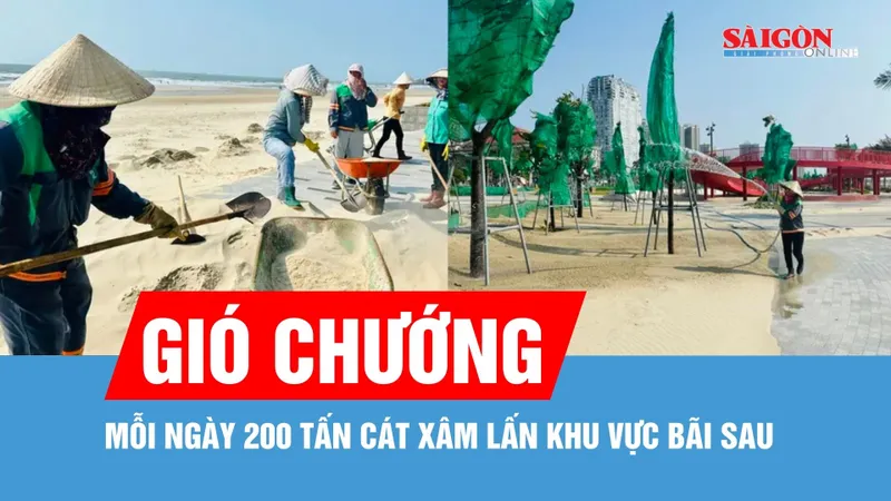 Gió chướng - Mỗi ngày 200 tấn cát xâm lấn khu vực Bãi Sau