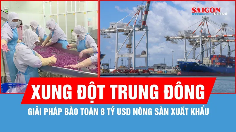 Giải pháp bảo toàn 8 tỷ USD nông sản xuất khẩu do xung đột Trung Đông