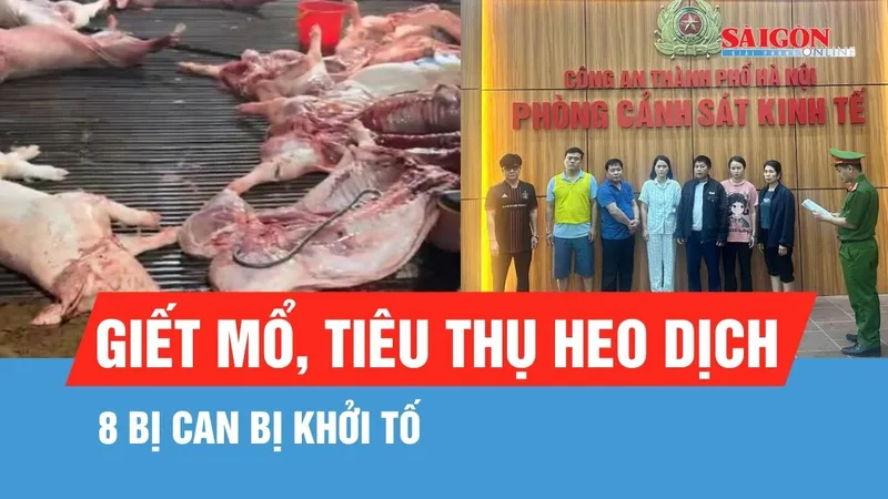Hà Nội: Khởi tố 8 bị can trong đường dây giết mổ, tiêu thụ heo dịch