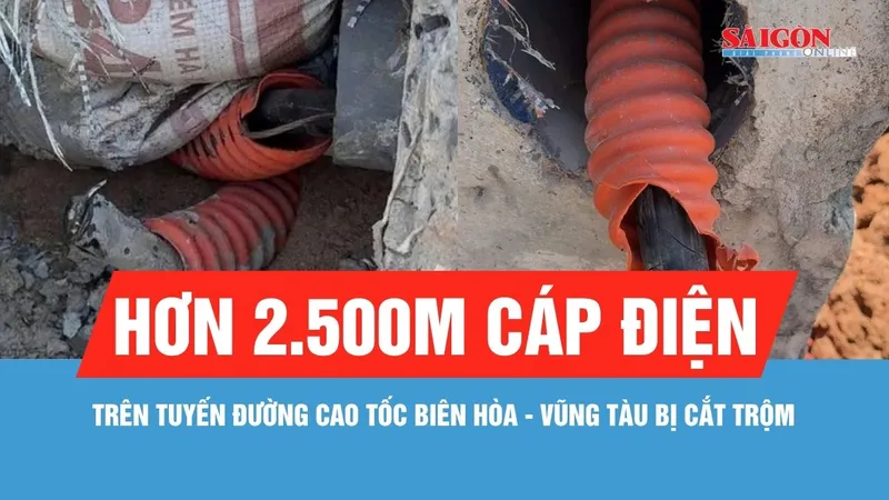 Hơn 2.500m cáp điện trên tuyến đường cao tốc Biên Hòa - Vũng Tàu bị cắt trộm