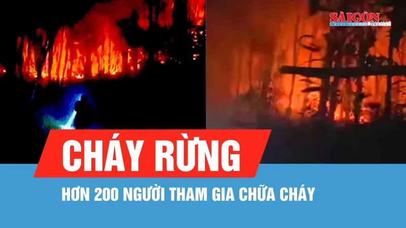 Hàng trăm người tham gia chữa cháy rừng ở Nghệ An