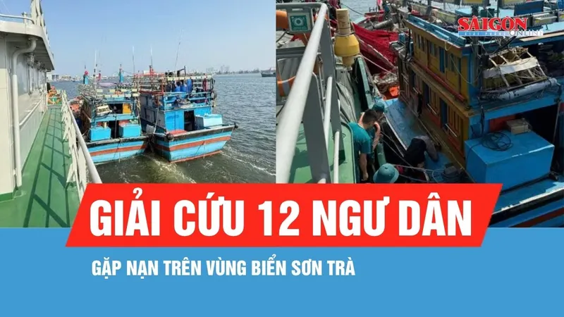 Ứng cứu tàu cá bị thủng đáy trên vùng biển Sơn Trà