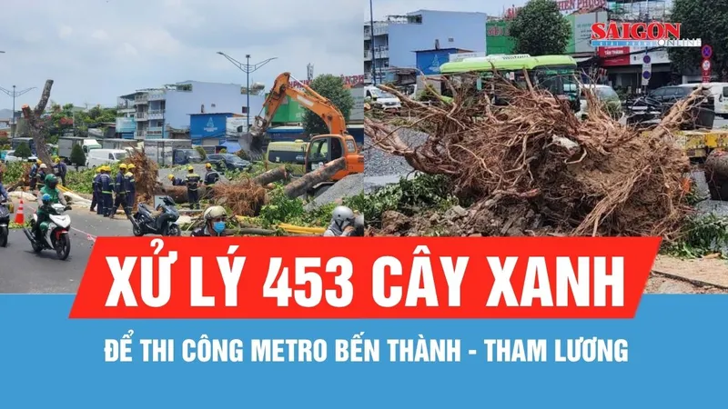 Xử lý 453 cây xanh để thi công metro Bến Thành - Tham Lương
