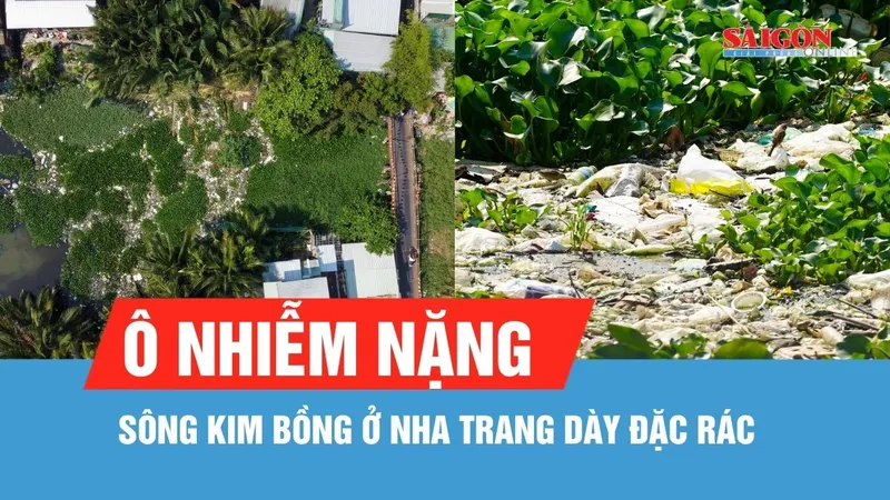 Sông Kim Bồng ở Nha Trang ô nhiễm nặng