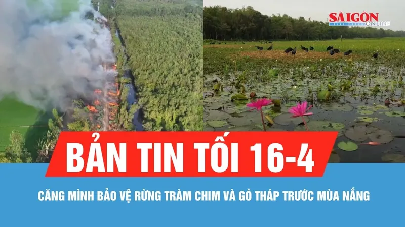 Bản tin tối 16-4: Căng mình bảo vệ rừng Tràm Chim và Gò Tháp trước mùa nắng