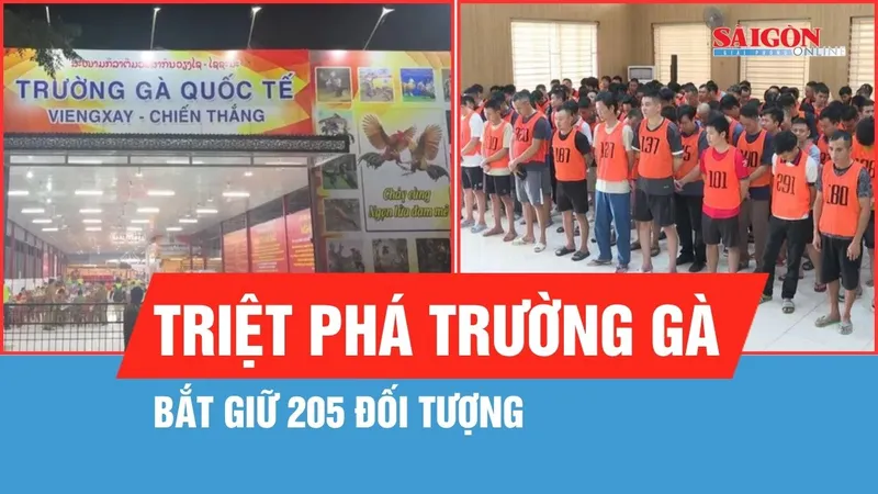 Triệt phá “Trường gà quốc tế Viêng Xay”, bắt giữ 205 đối tượng