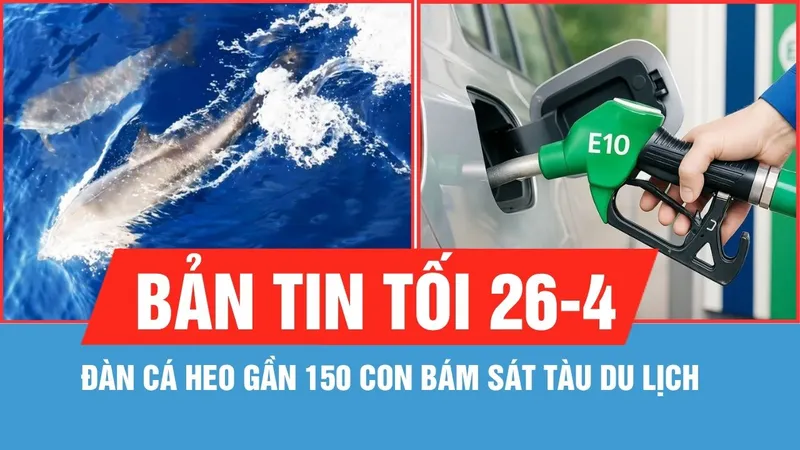 Bản tin tối 26-4: Đàn cá heo gần 150 con bám sát tàu du lịch; Chuẩn bị phân phối đại trà xăng E10