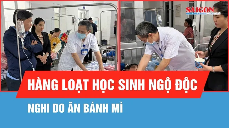 Hàng loạt học sinh ở Quảng Trị ngộ độc nghi do bánh mì
