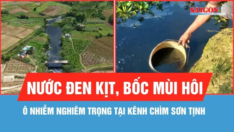 Quảng Ngãi: Xác định nguyên nhân ô nhiễm kênh chìm Sơn Tịnh