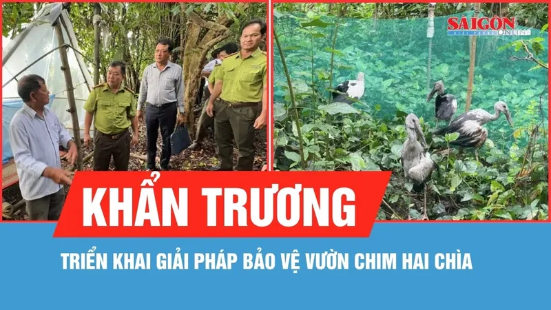Vĩnh Long: Triển khai giải pháp bảo vệ vườn chim Hai Chìa
