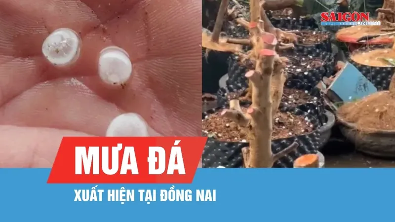 Đồng Nai xuất hiện mưa đá