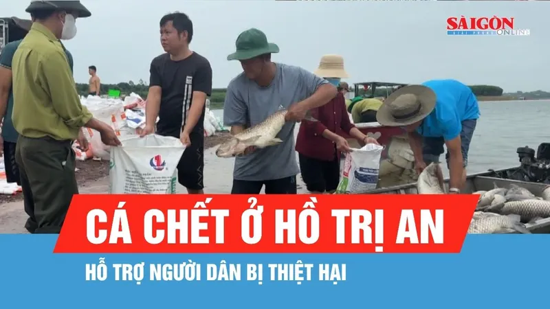 Hỗ trợ người dân bị thiệt hại do cá chết ở hồ Trị An