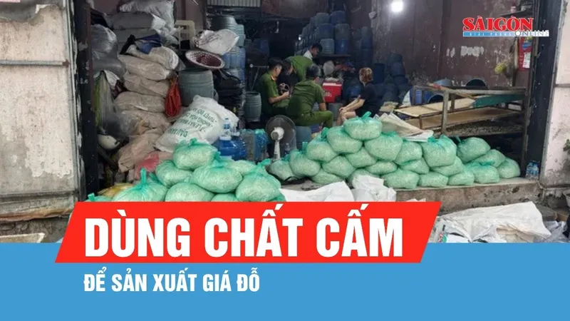 TPHCM: Khởi tố 4 bị can dùng chất cấm để sản xuất giá đỗ
