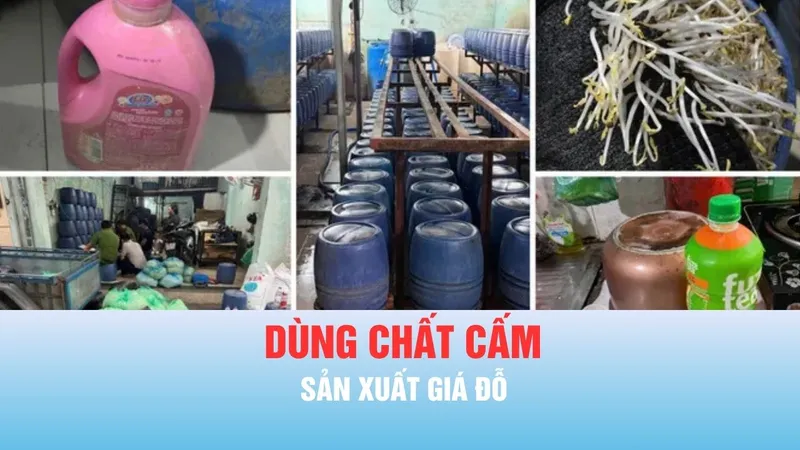 Podcast bản tin chiều 1-6: TPHCM: Khởi tố 4 bị can dùng chất cấm để sản xuất giá đỗ