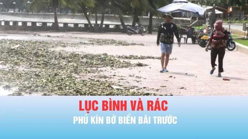 Podcast bản tin tối 4-6: Lục bình và rác phủ kín bờ biển Bãi Trước phường Vũng Tàu 