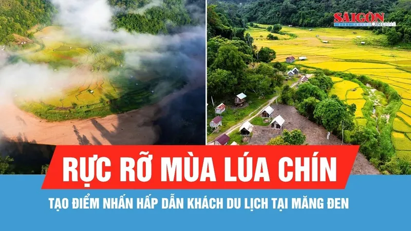 Măng Đen rực rỡ mùa lúa chín