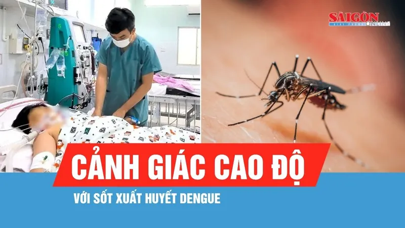 TPHCM bước vào giai đoạn cảnh giác cao độ với sốt xuất huyết Dengue