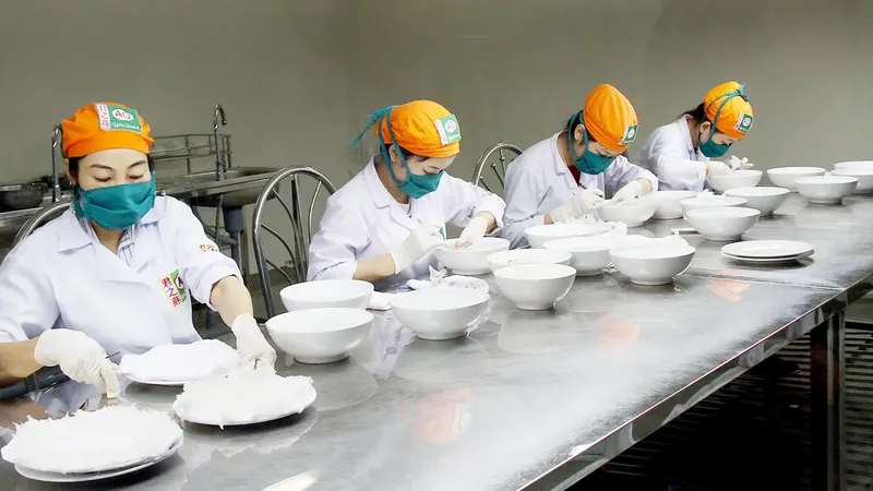 Làm sạch tổ yến tại Trung tâm triển lãm yến sào Việt Nam Việt Linh (xã Tam Thôn Hiệp, huyện Cần Giờ, TPHCM) Ảnh: PHIÊU NHIÊN