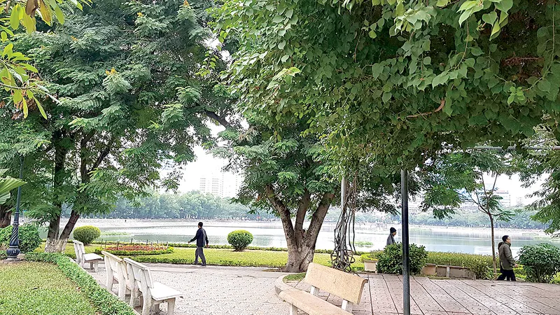 Hà Nội ngày đầu đông Ảnh: P. Giang