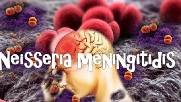 Dự trữ vaccine ngừa não mô cầu 