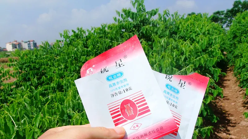 Thuốc bảo vệ thực vật gây nguy hiểm cho sức khỏe người dân đang sử dụng tràn lan ở nước ta