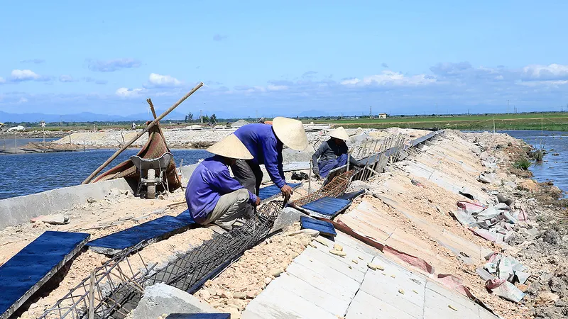 Các đơn vị đẩy mạnh thi công, sửa chữa, nâng cấp tuyến đê bao phía Đông phá Tam Giang (Thừa Thiên - Huế)