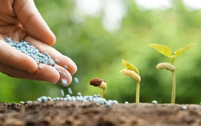 Khai thác nhu cầu phân bón của cây trồng “mới nổi”