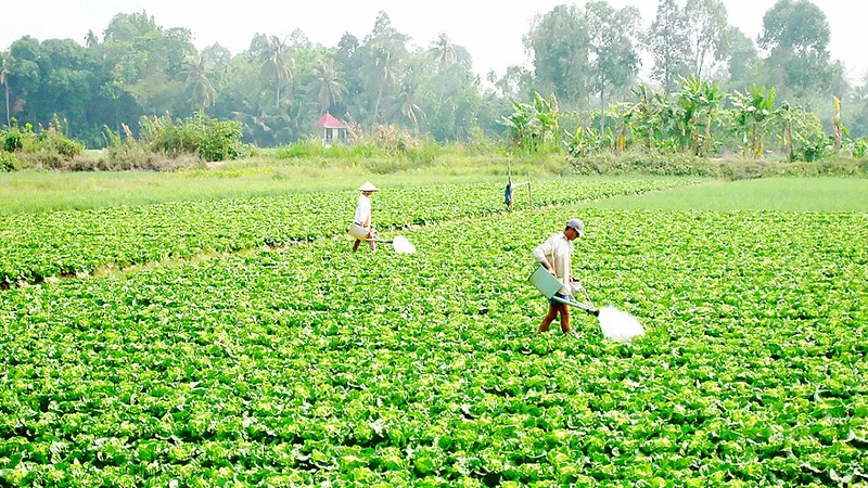 Tăng thu nhập từ chuyển đổi cây trồng 