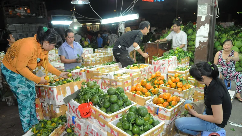 Trái cây trong nước bán tại chợ . Ảnh: THÀNH TRÍ